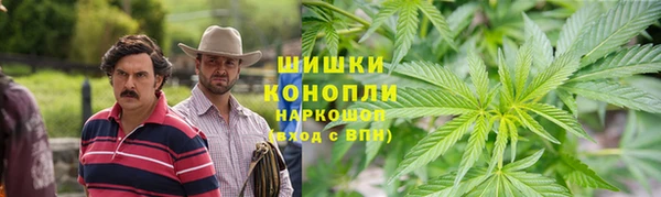 дурь Гусиноозёрск