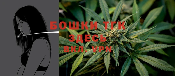 дурь Гусиноозёрск