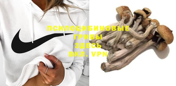 мяу мяу мука Гусь-Хрустальный