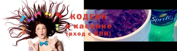 дурь Гусиноозёрск