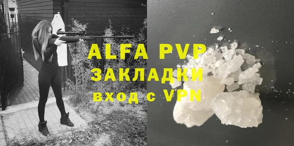 дурь Гусиноозёрск