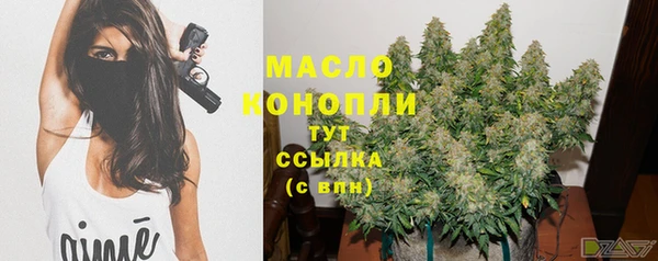 дурь Гусиноозёрск