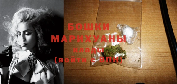 мяу мяу мука Гусь-Хрустальный