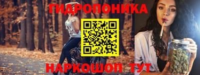 скорость Партизанск