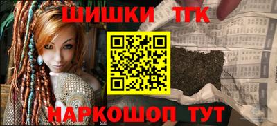 индика Бердск