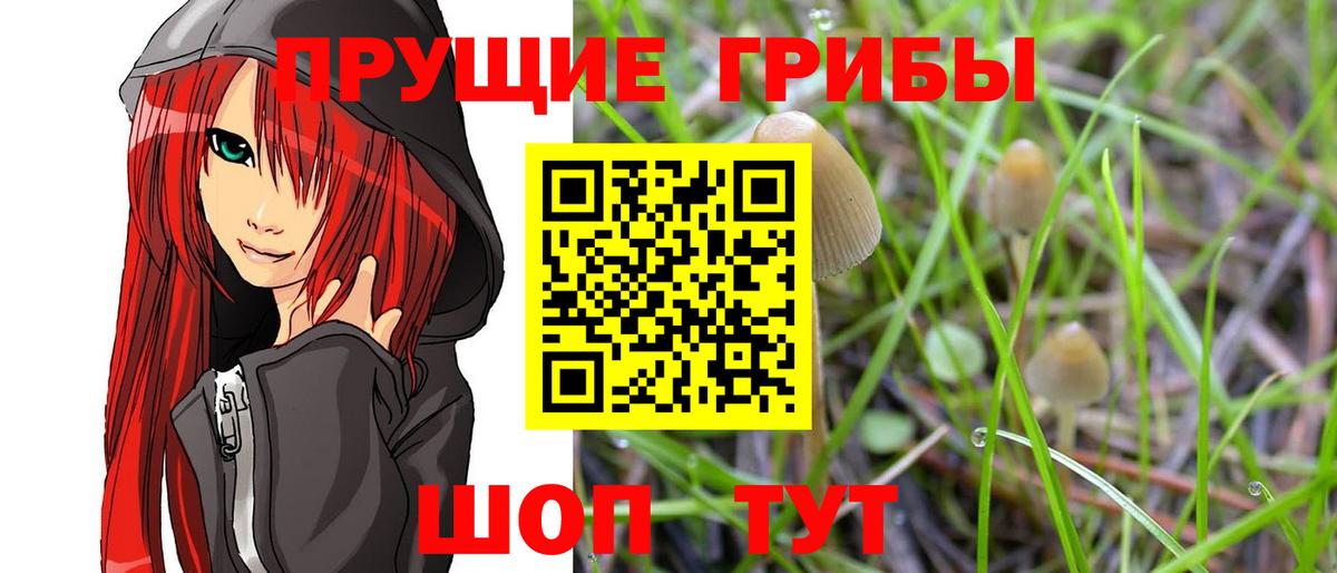 Галлюциногенные грибы GOLDEN TEACHER Старая Русса