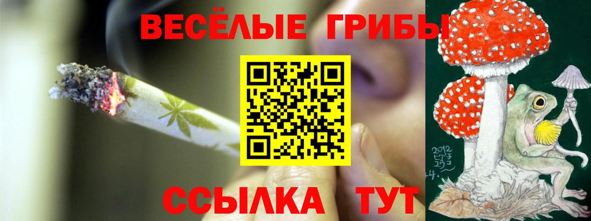 Псилоцибиновые грибы Psilocybe  Вход с VPN  сколько стоит  Старая Русса 