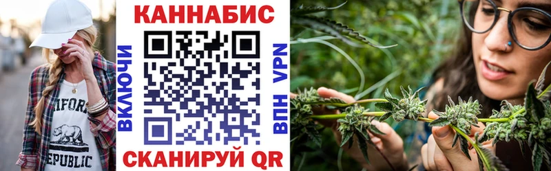 Канабис OG Kush Старая Русса
